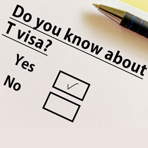 Comprender La Visa T Y Su Propósito